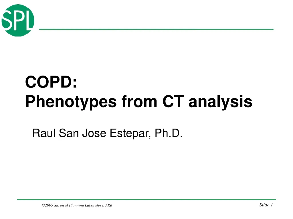 copd phenotypes from ct analysis