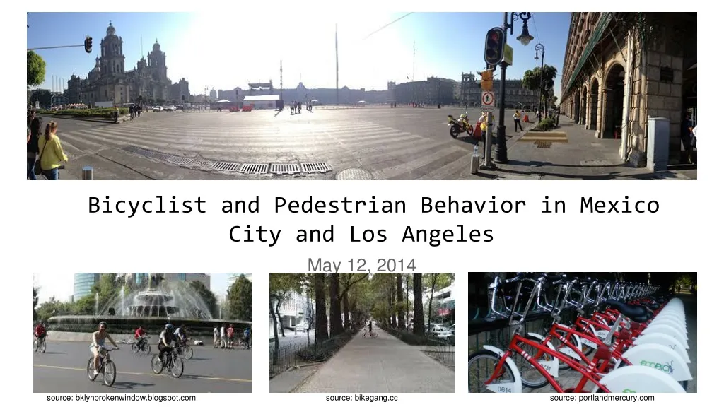 bicyclist and pedestrian behavior in mexico city and los angeles