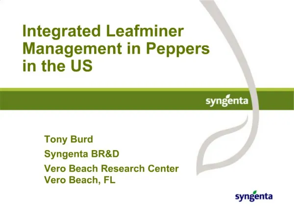 Integrated Leafminer Management in Peppers in the US