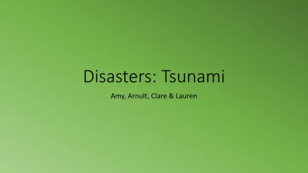 Disasters: Tsunami