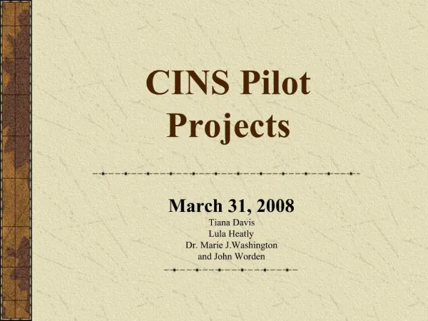 CINS Pilot Projects