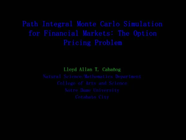 Path Integral Monte Carlo Simulation for Financial Markets: The Option Pricing Problem