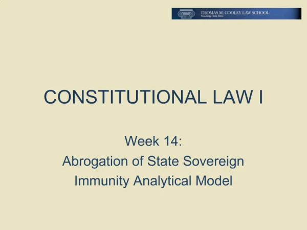 CONSTITUTIONAL LAW I