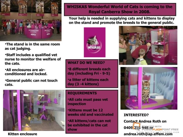 WHISKAS Wonderful World of Cats is coming to the Royal ...