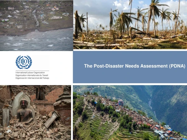 The Post-Disaster Needs Assessment ( PDNA)