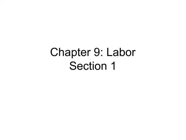Chapter 9: Labor Section 1