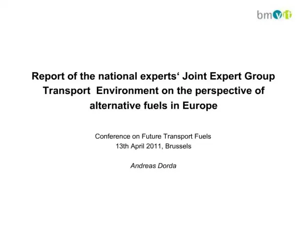 Report of the national experts Joint Expert Group Transport Environment on the perspective of alternative fuels in Eur