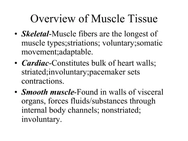 Overview of Muscle Tissue