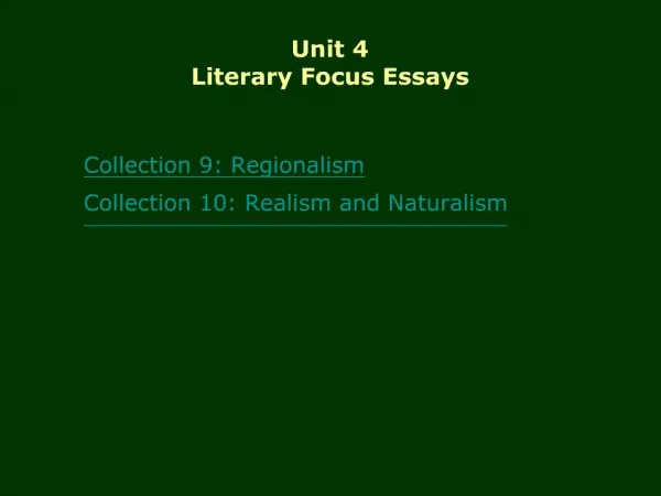 Unit 4 Literary Focus Essays