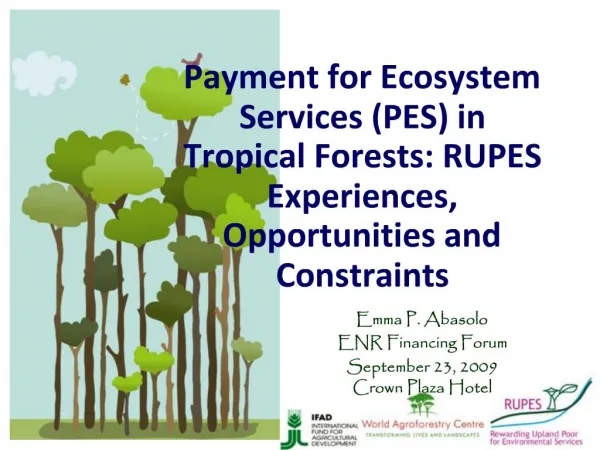 Payment for Ecosystem Services PES in Tropical Forests: RUPES Experiences, Opportunities and Constraints