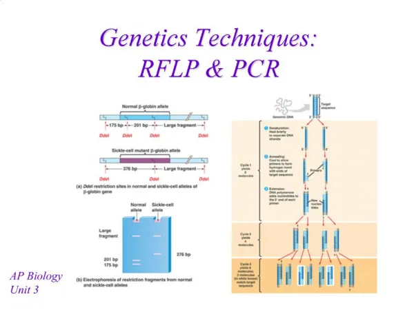 Genetics Techniques: RFLP PCR