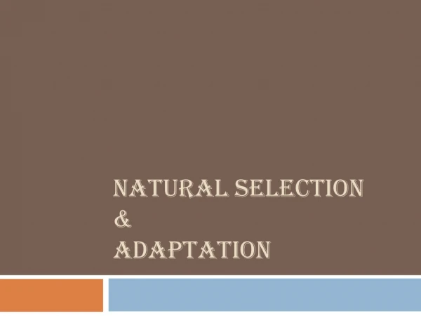 Natural Selection &amp; Adaptation