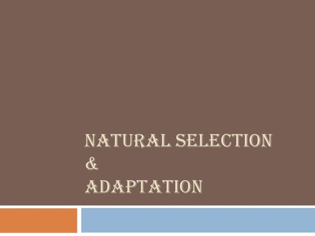 natural selection adaptation