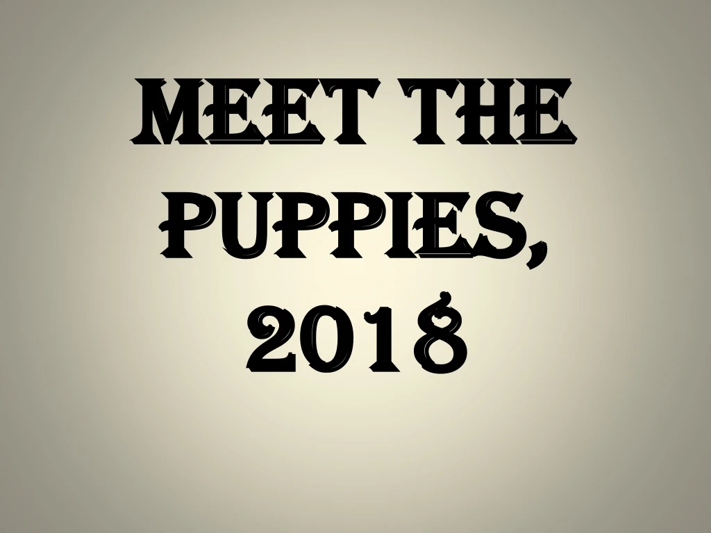 meet the puppies 2018