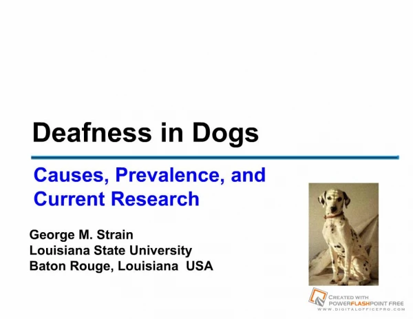 Deafness in Dogs
