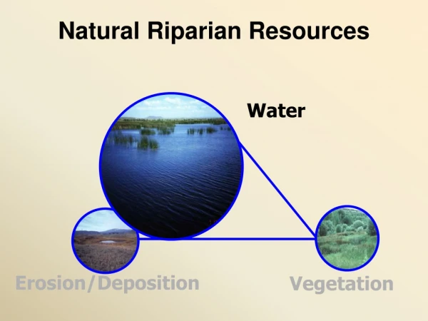Natural Riparian Resources