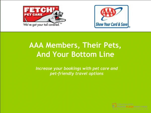 Fetch Pet Care Story