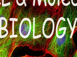 CELL Molecular BIOLOGY Dr. Majid Zare - slide 1