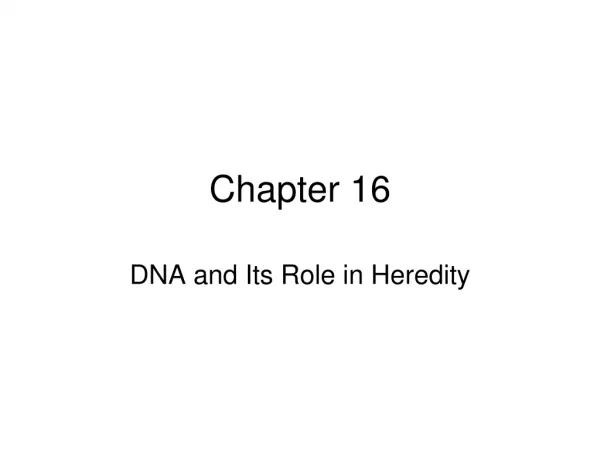 Chapter 16