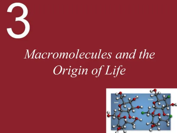 Macromolecules and the Origin of Life