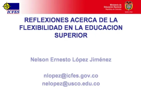 REFLEXIONES ACERCA DE LA FLEXIBILIDAD EN LA EDUCACION SUPERIOR