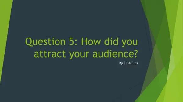 Question 5: How did you attract your audience?
