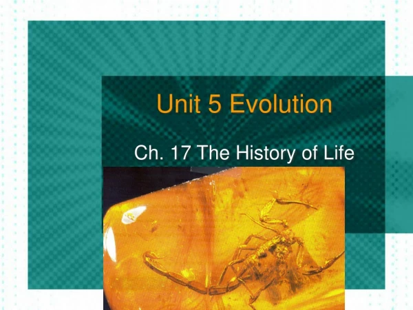 Unit 5 Evolution
