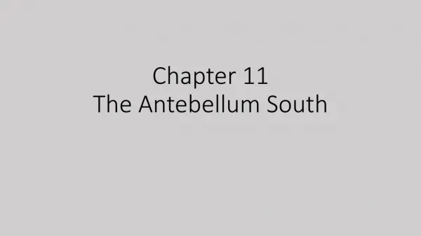 Chapter 11 The Antebellum South
