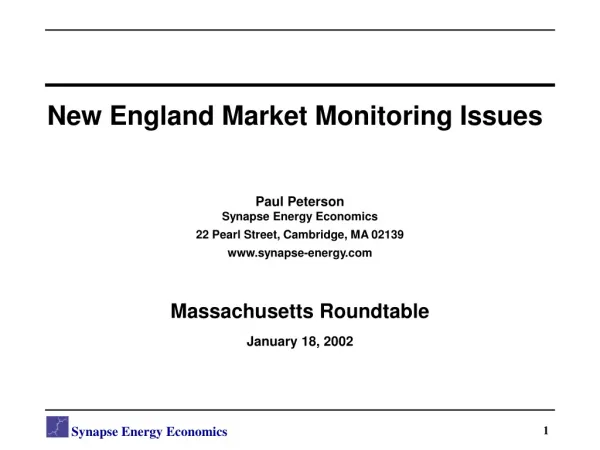 New England Market Monitoring Issues