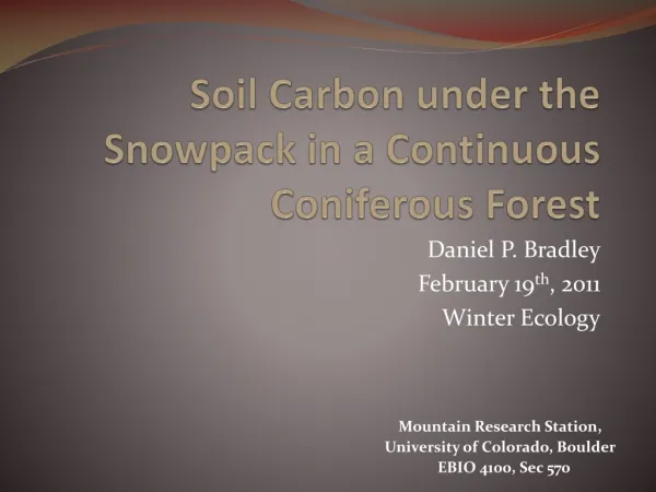 Soil Carbon under the Snowpack in a Continuous Coniferous Forest
