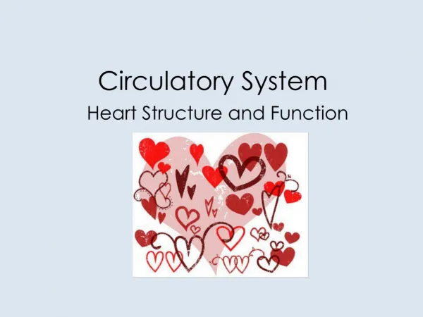 Circulatory System