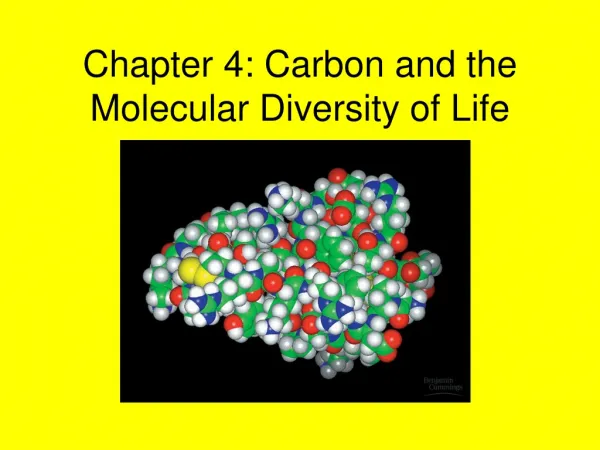 Chapter 4: Carbon and the Molecular Diversity of Life