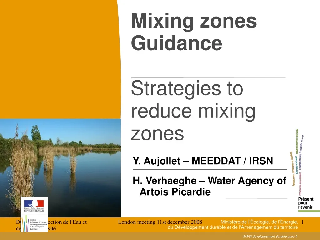 mixing zones guidance strategies to reduce mixing zones