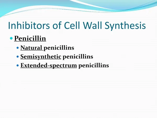 Inhibitors of Cell Wall Synthesis