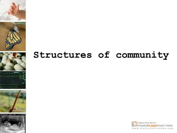 Structures of community