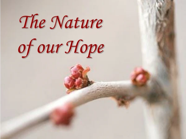 The Nature of our Hope