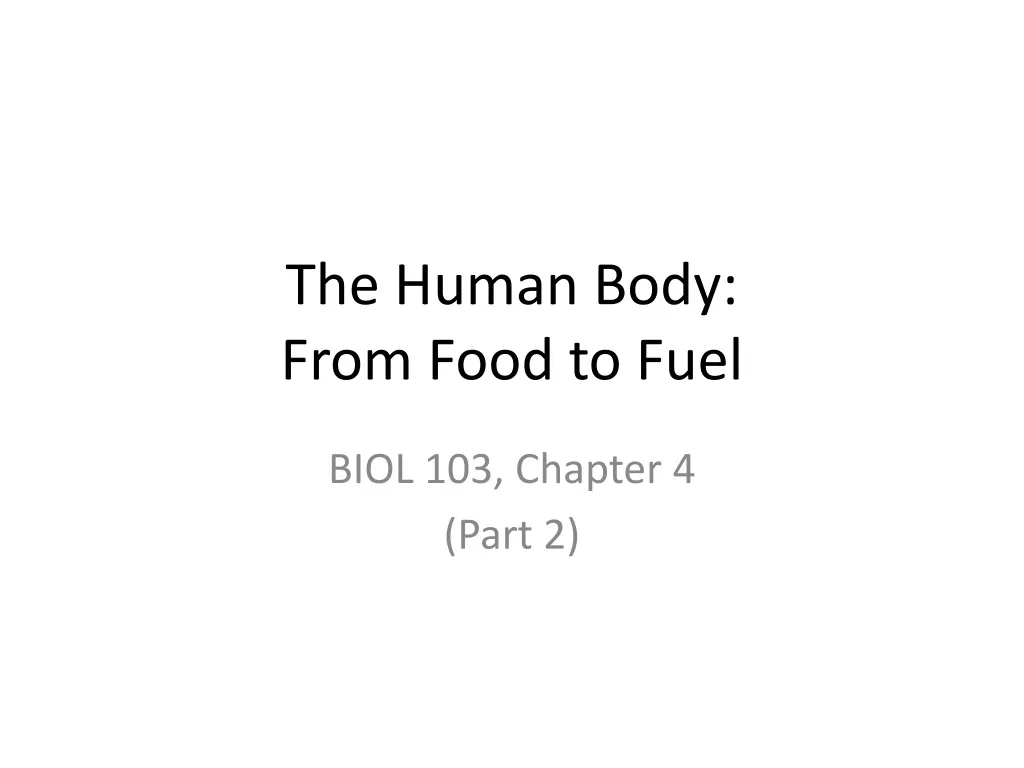 the human body from food to fuel