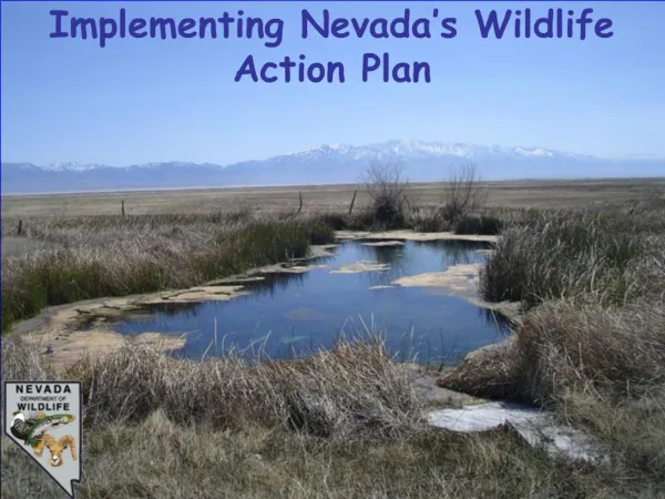 The Nevada Wildlife Action Plan: