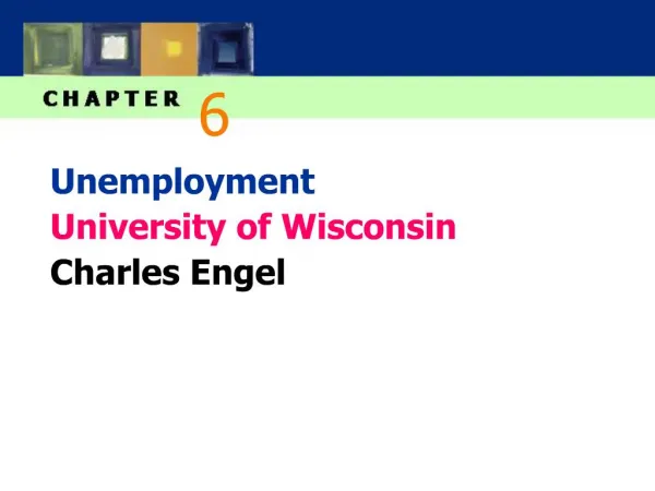 Unemployment University of Wisconsin Charles Engel