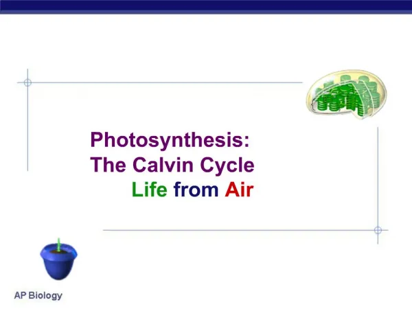 Photosynthesis: The Calvin Cycle Life from Air