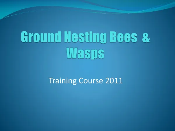 Ground Nesting Bees &amp; Wasps