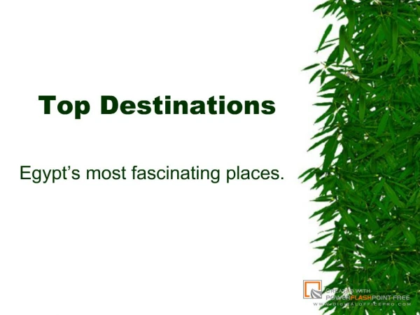 Top Destinations