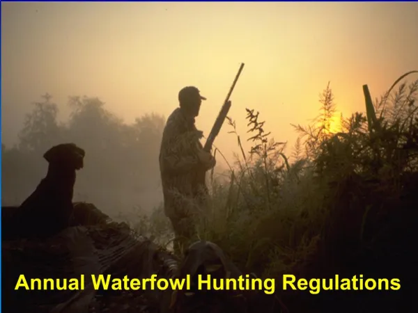 Annual Waterfowl Hunting Regulations