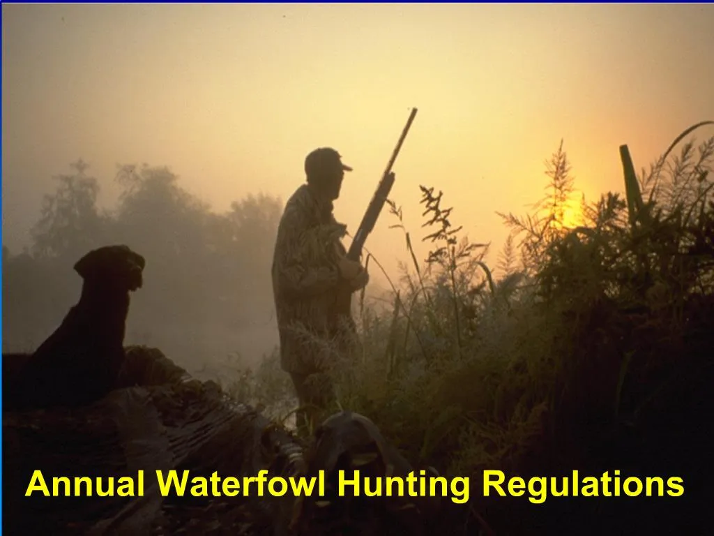 PPT Annual Waterfowl Hunting Regulations PowerPoint Presentation