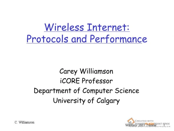 Wireless Internet: