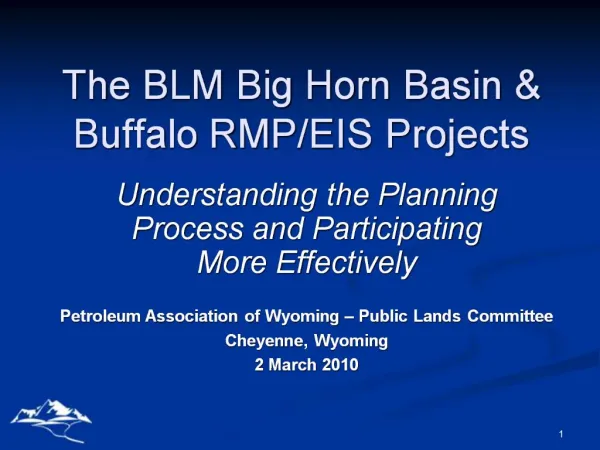 The BLM Big Horn Basin Buffalo RMP