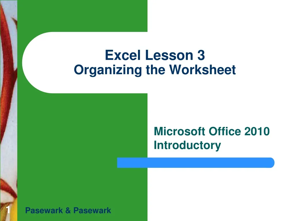 excel lesson 3 organizing the worksheet