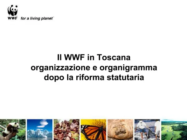 Il WWF in Toscana organizzazione e organigramma dopo la riforma statutaria