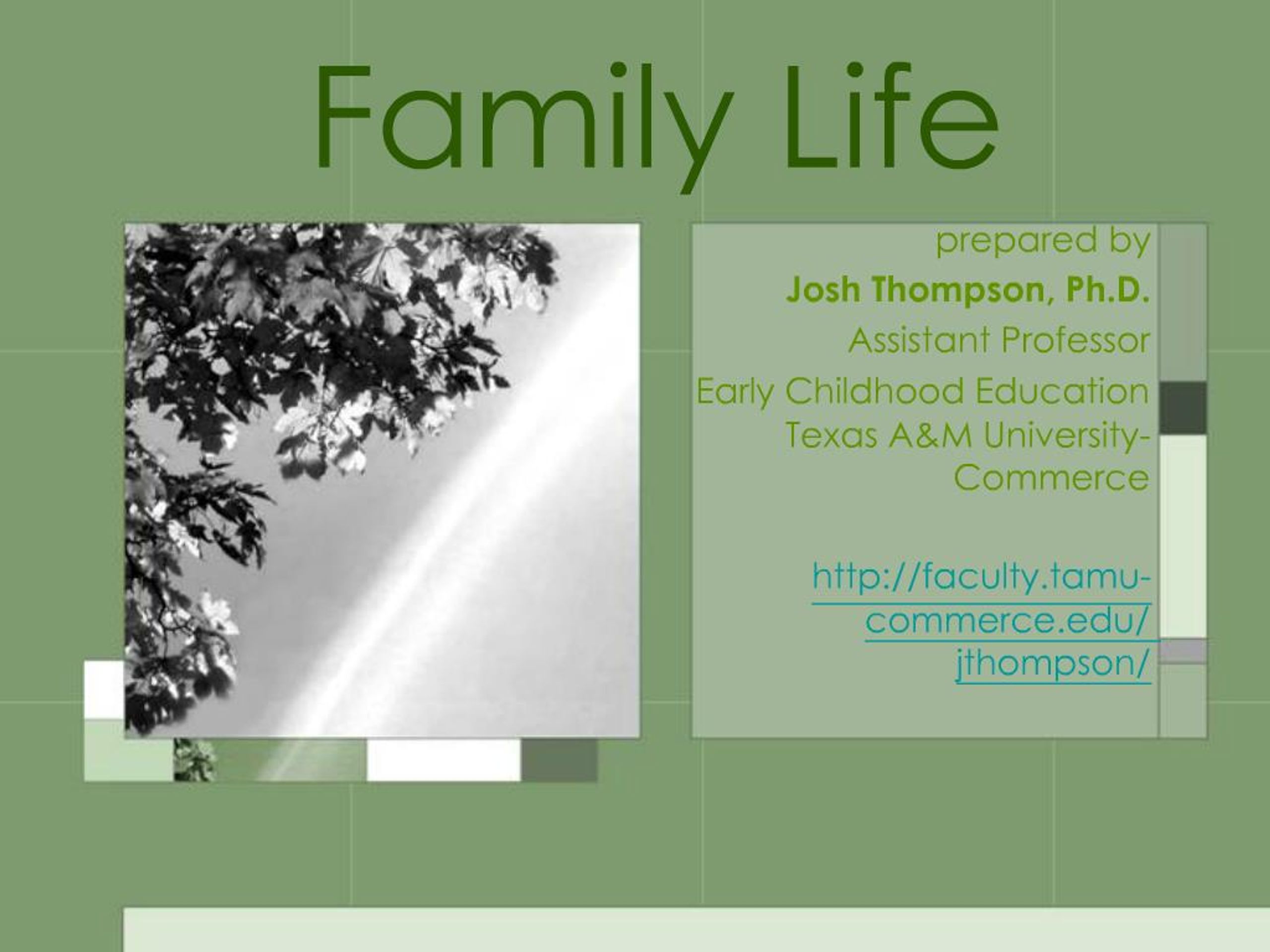 PPT - Family Life PowerPoint Presentation, free download - ID:576437