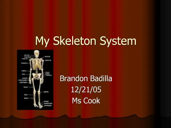 My Skeleton System
